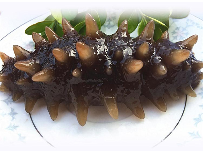 Russian sea cucumber