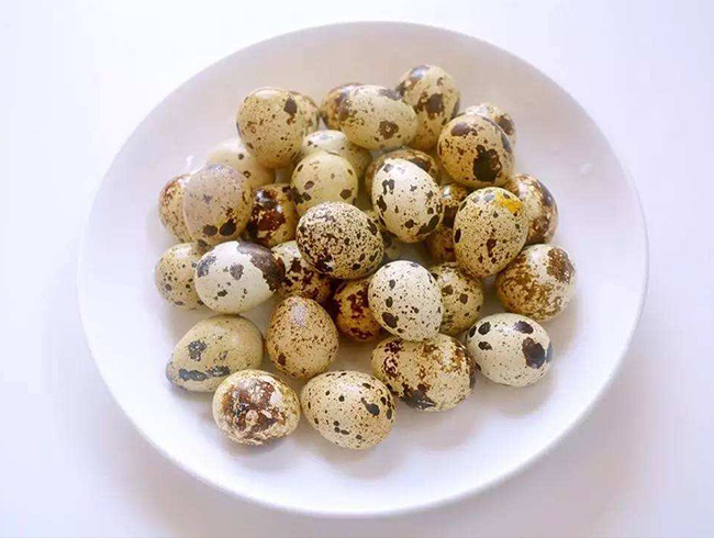 Quail egg