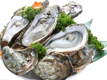 Chilled oysters