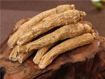 American Ginseng