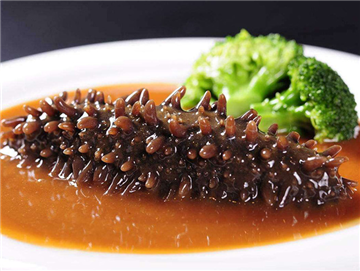 Sea cucumber